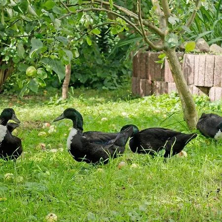 Auf Dem Pommernhof Agroturismo *