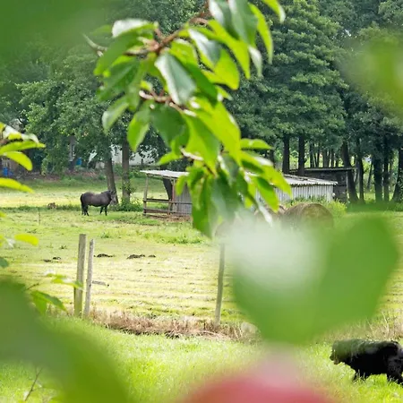 Auf Dem Pommernhof *